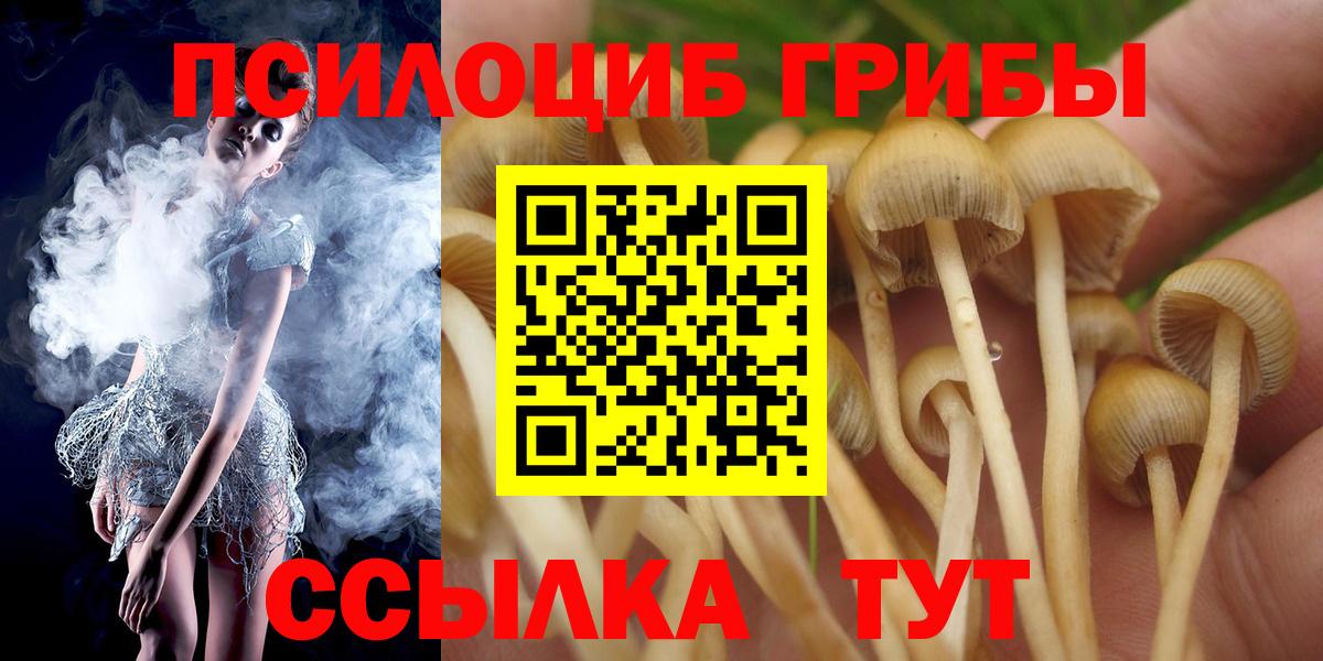 Галлюциногенные грибы ЛСД Юрга