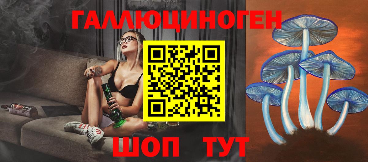 Alpha PVP СК кристаллы  Юрга  Гашиш  Цена  МЕФ   Вход с VPN  Марихуана  Бошки Шишки  Cocaine 